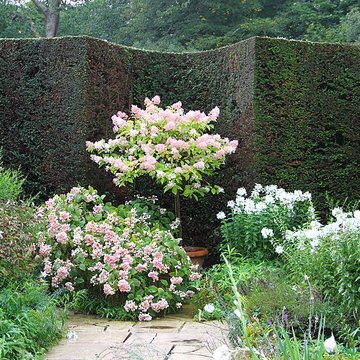 Bois des Moutiers à Varengeville-sur-Mer