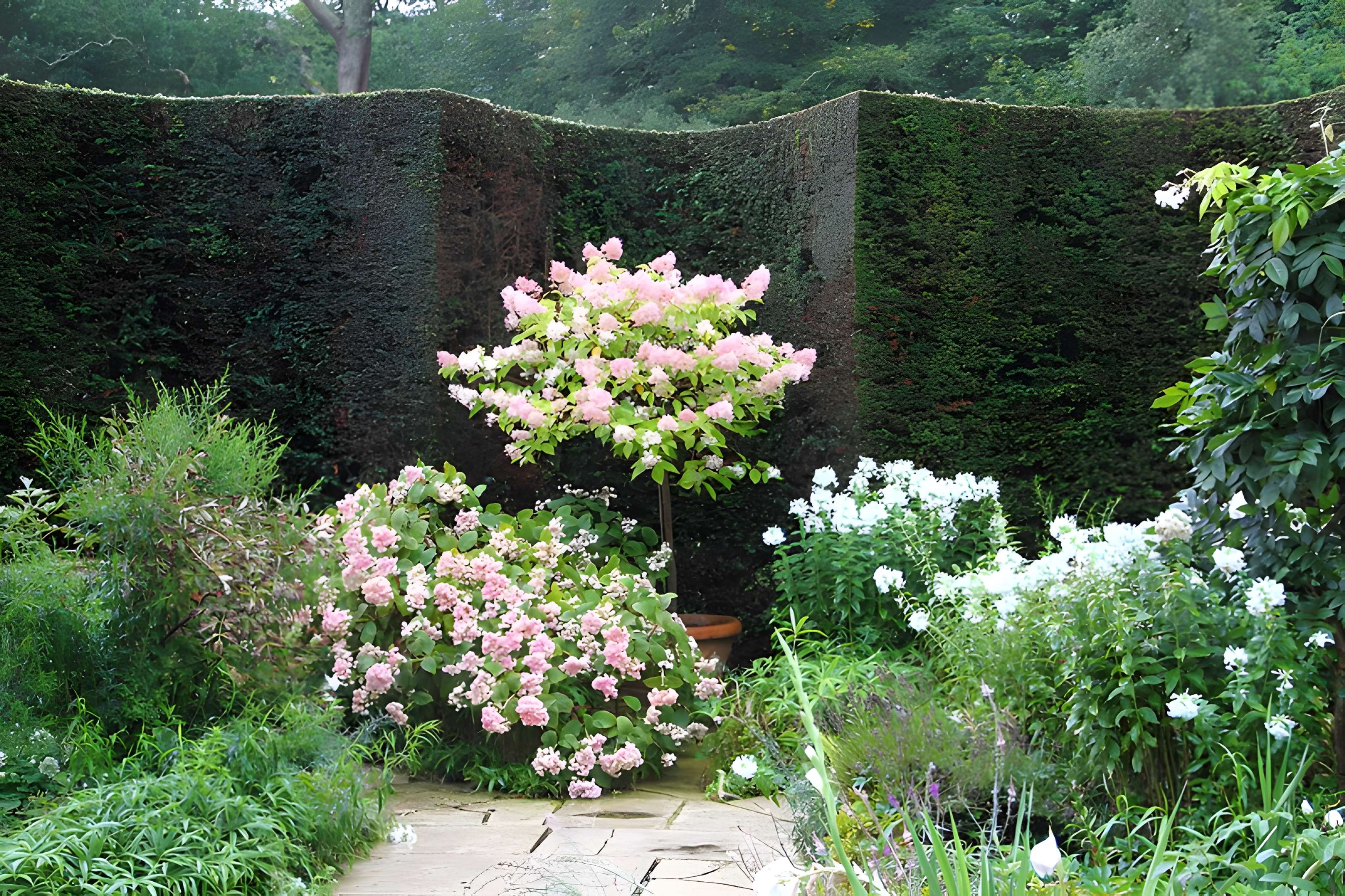 Bois des Moutiers à Varengeville-sur-Mer