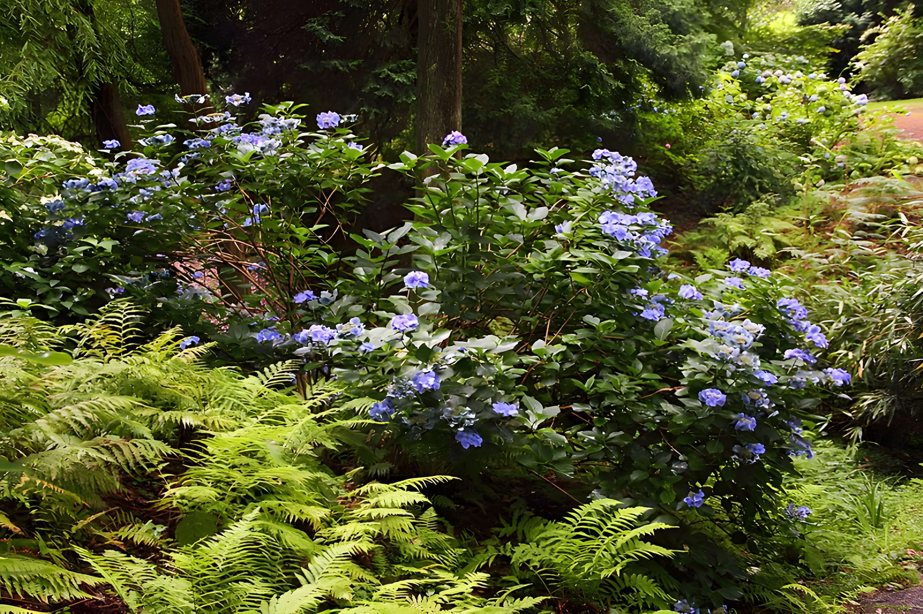 Bois des Moutiers à Varengeville-sur-Mer
