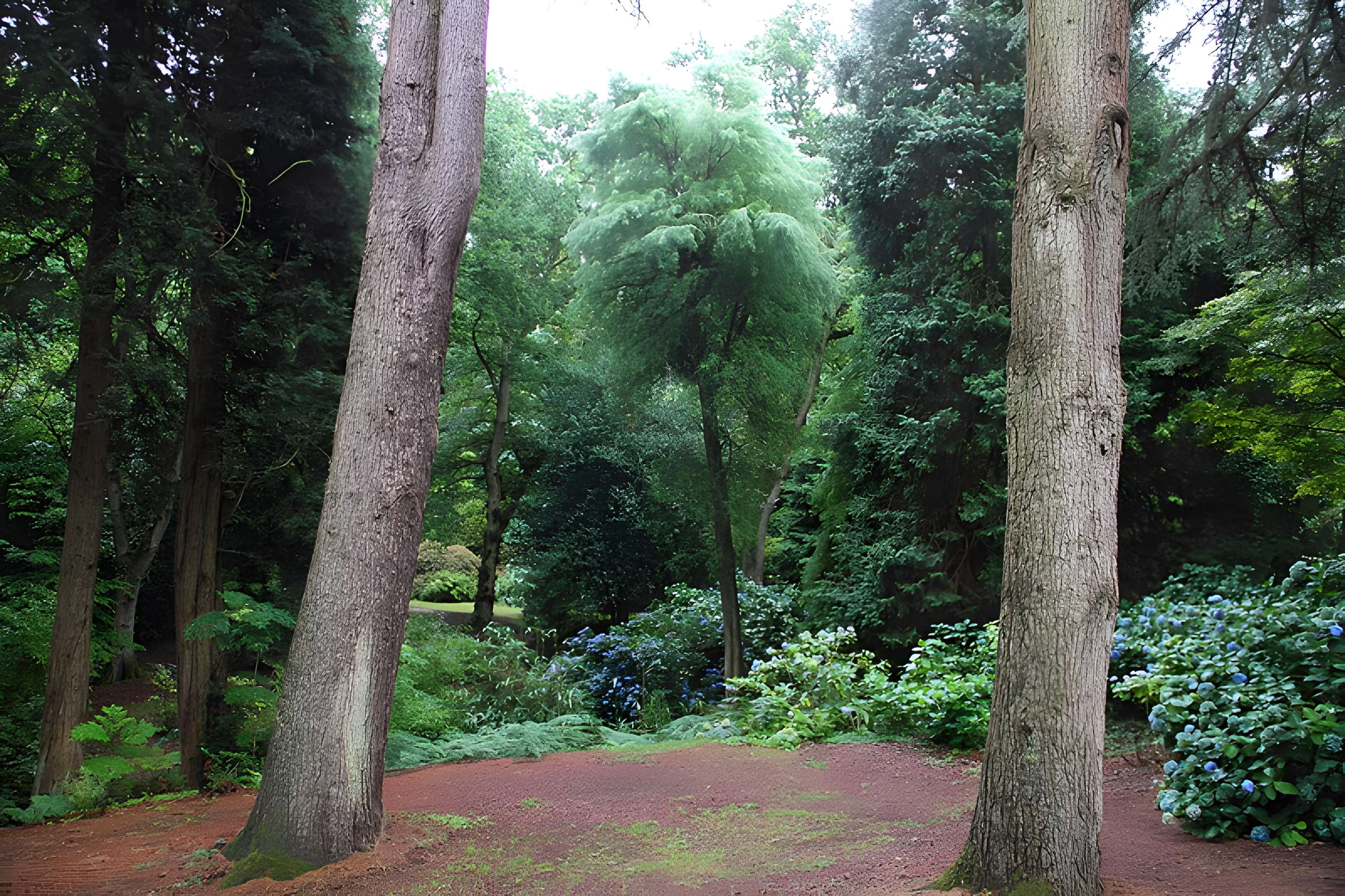 Bois des Moutiers à Varengeville-sur-Mer