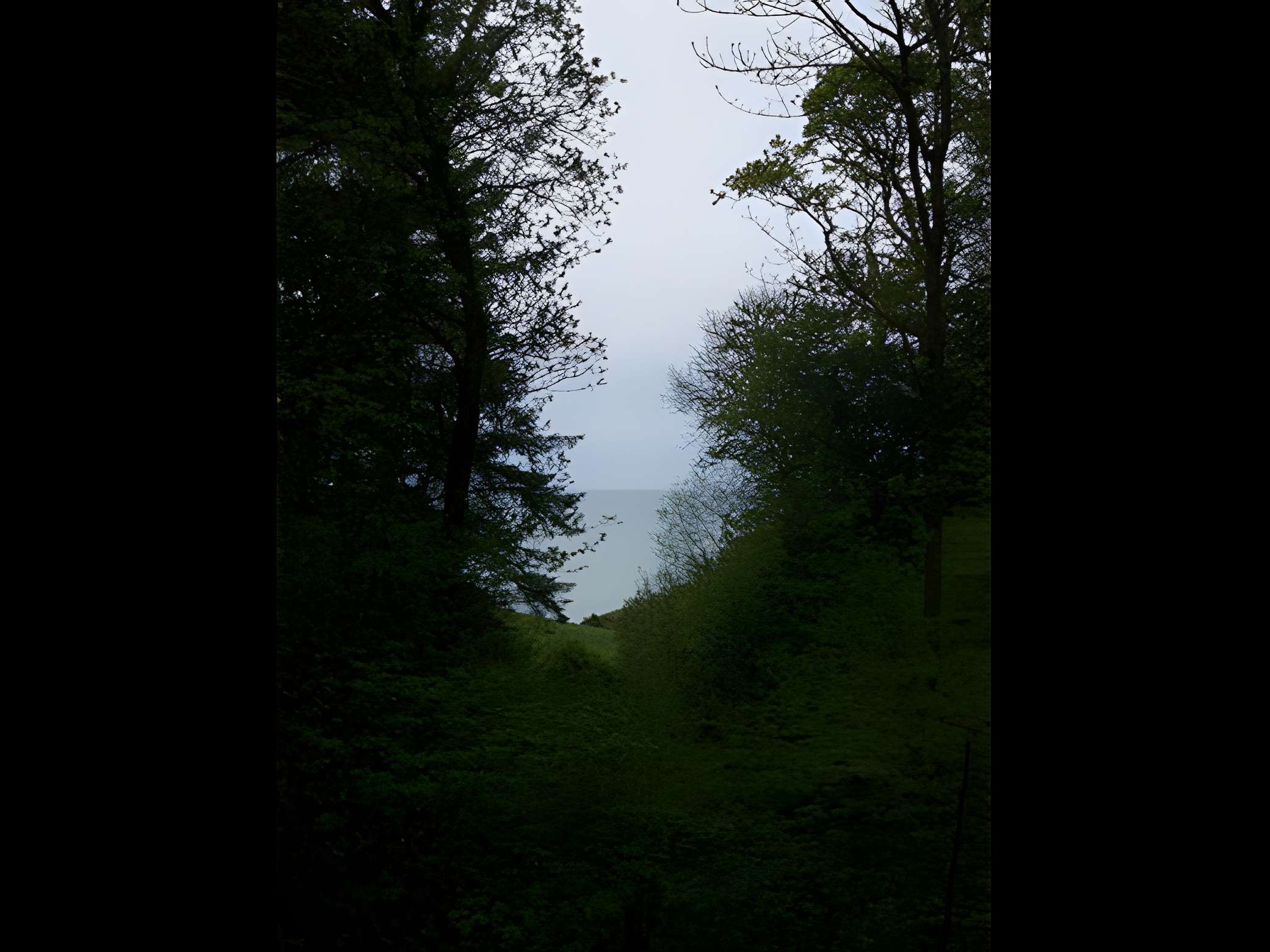 Bois des Moutiers à Varengeville-sur-Mer