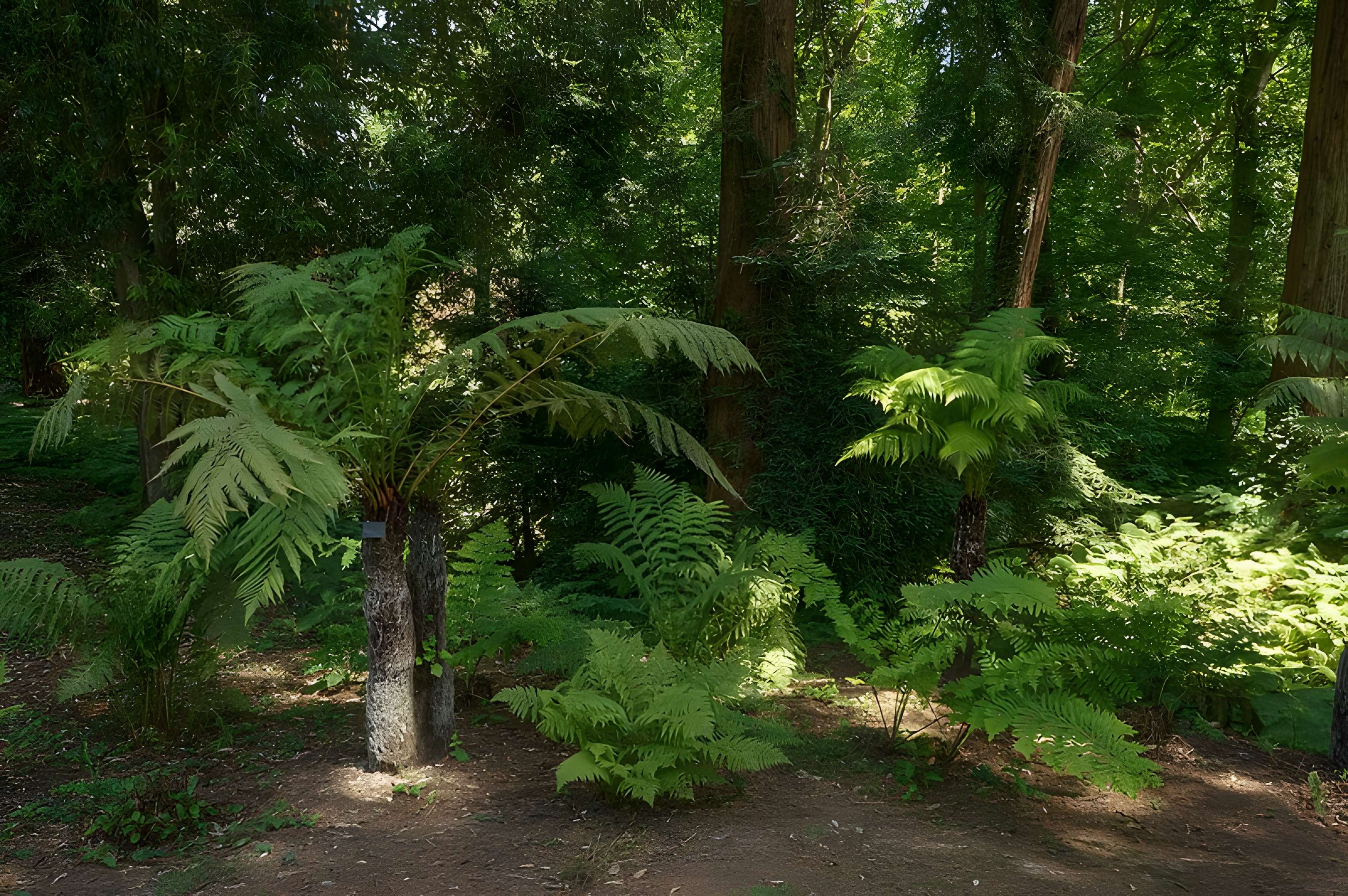 Bois des Moutiers à Varengeville-sur-Mer