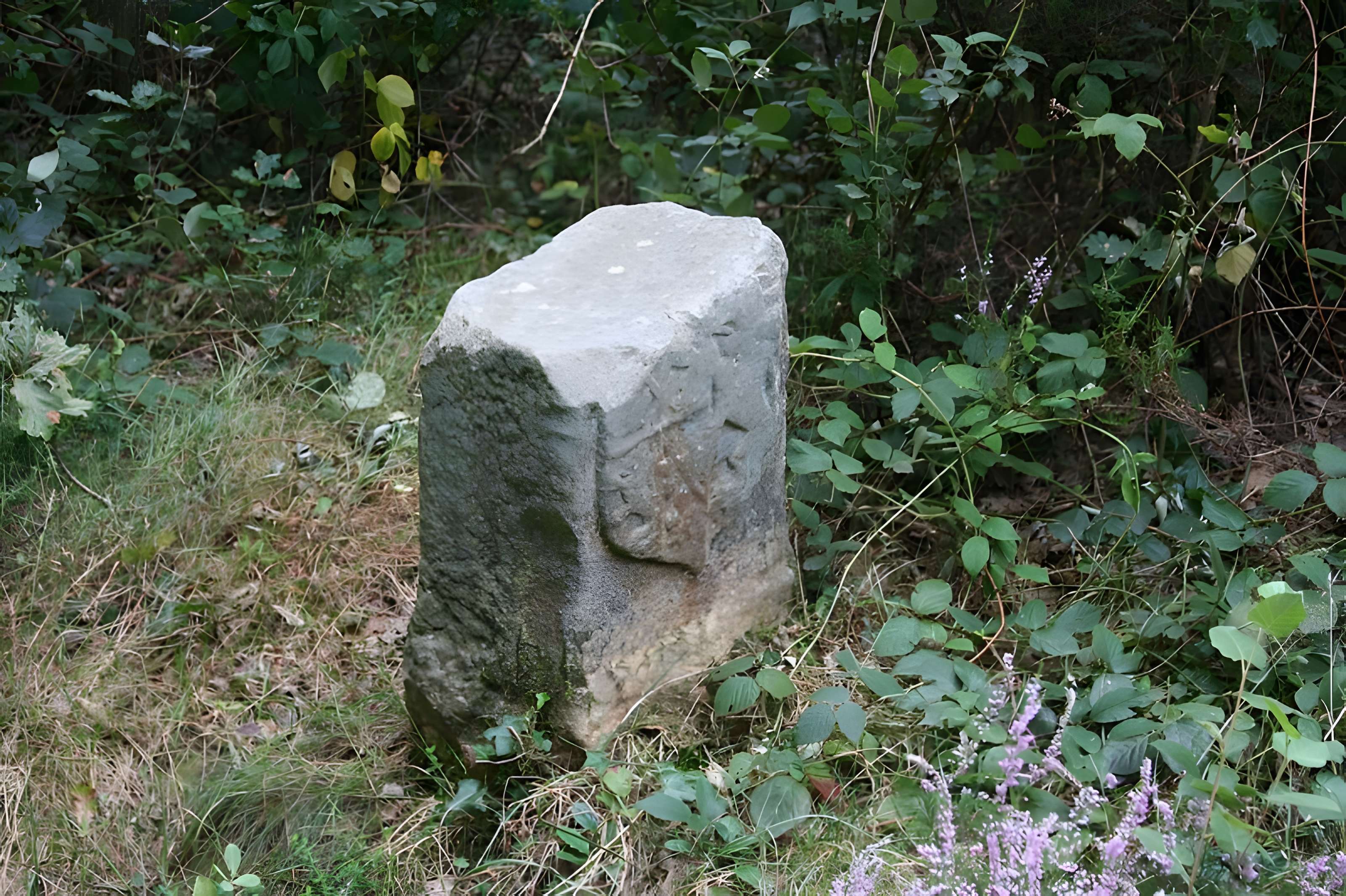 Borne armoriée des Bréviaires 