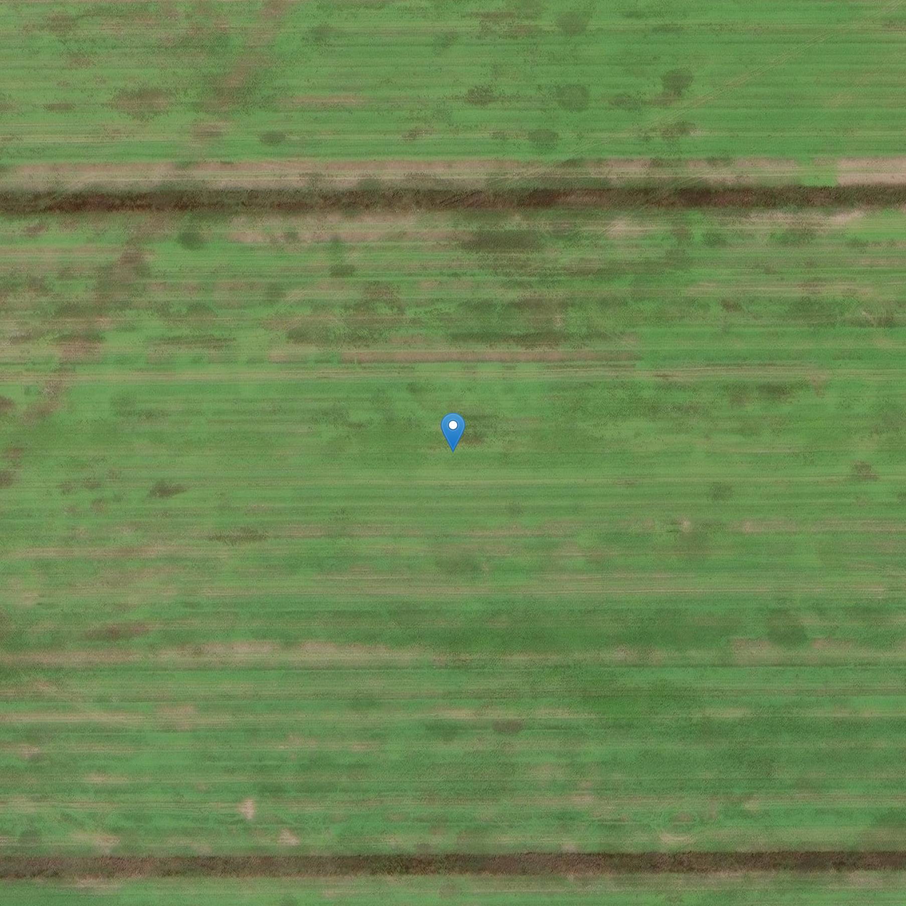 Photo de Fiorente Nato 38 delle Cappelle-Bourbon