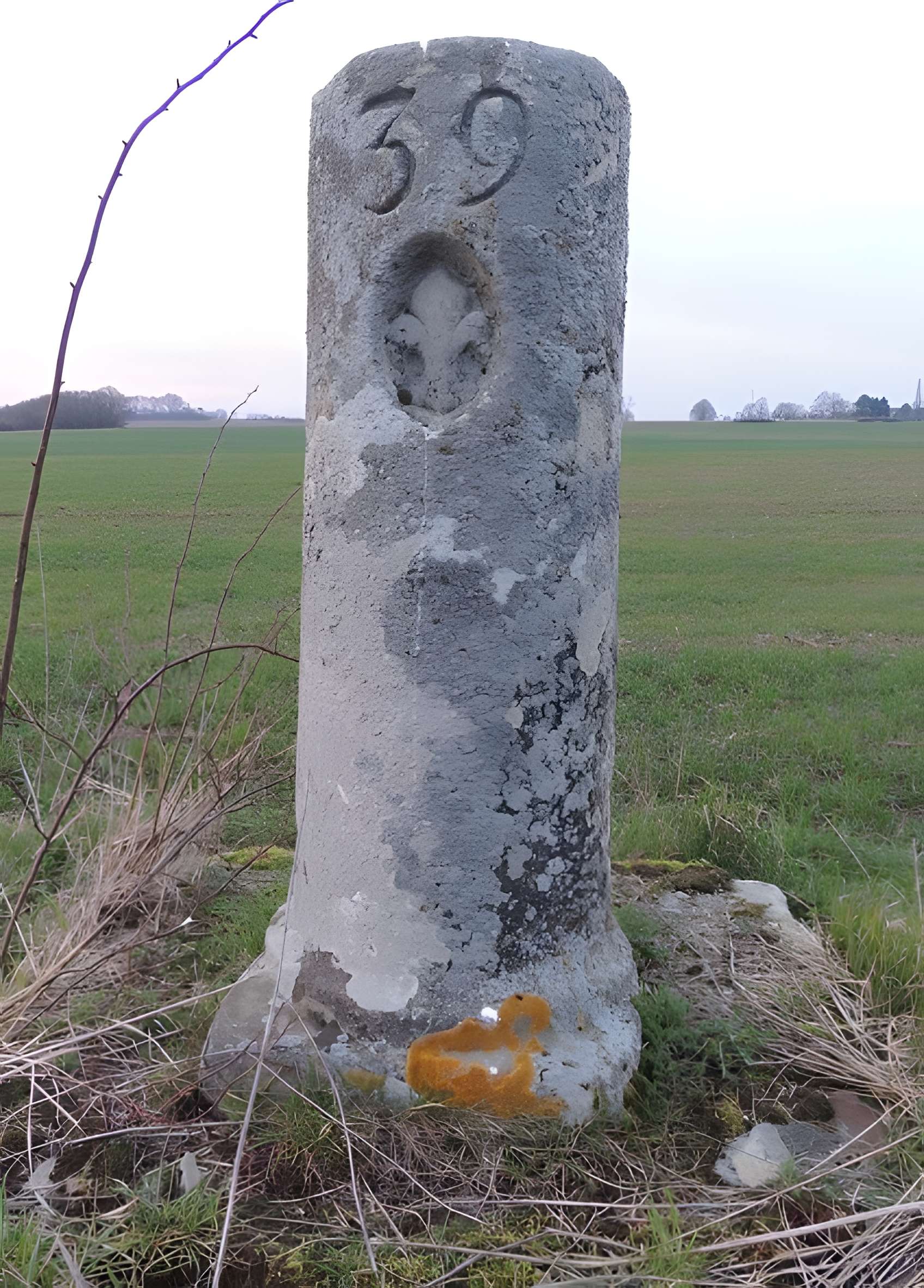 Borne fleurdelysée 39 de Vulaines-lès-Provins 