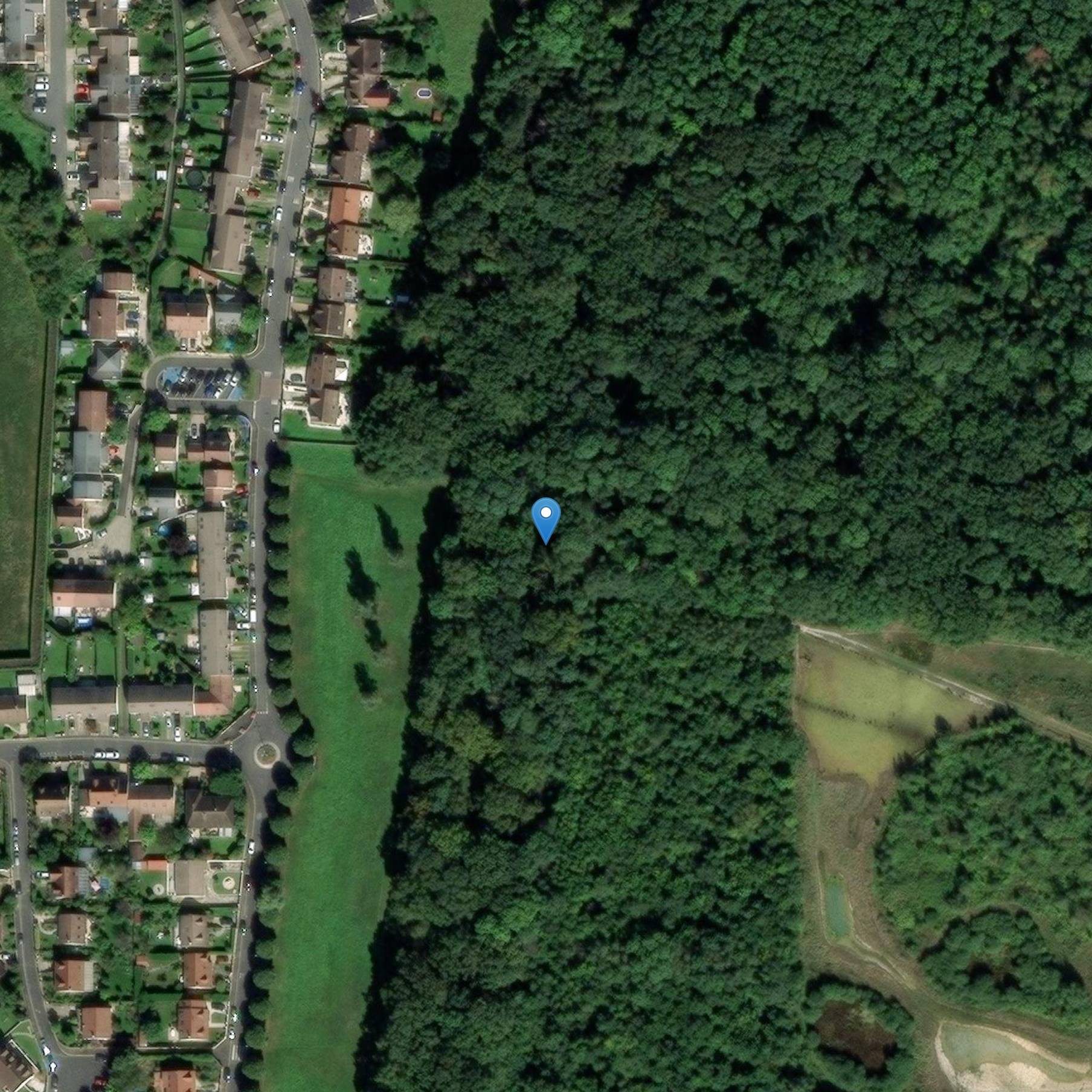 Photo de Fleury-Merogis フラワー・ボルネ