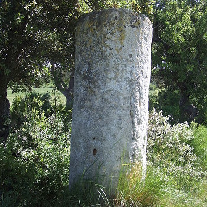 Photo de Borne milliaire de Lançon-Provence
