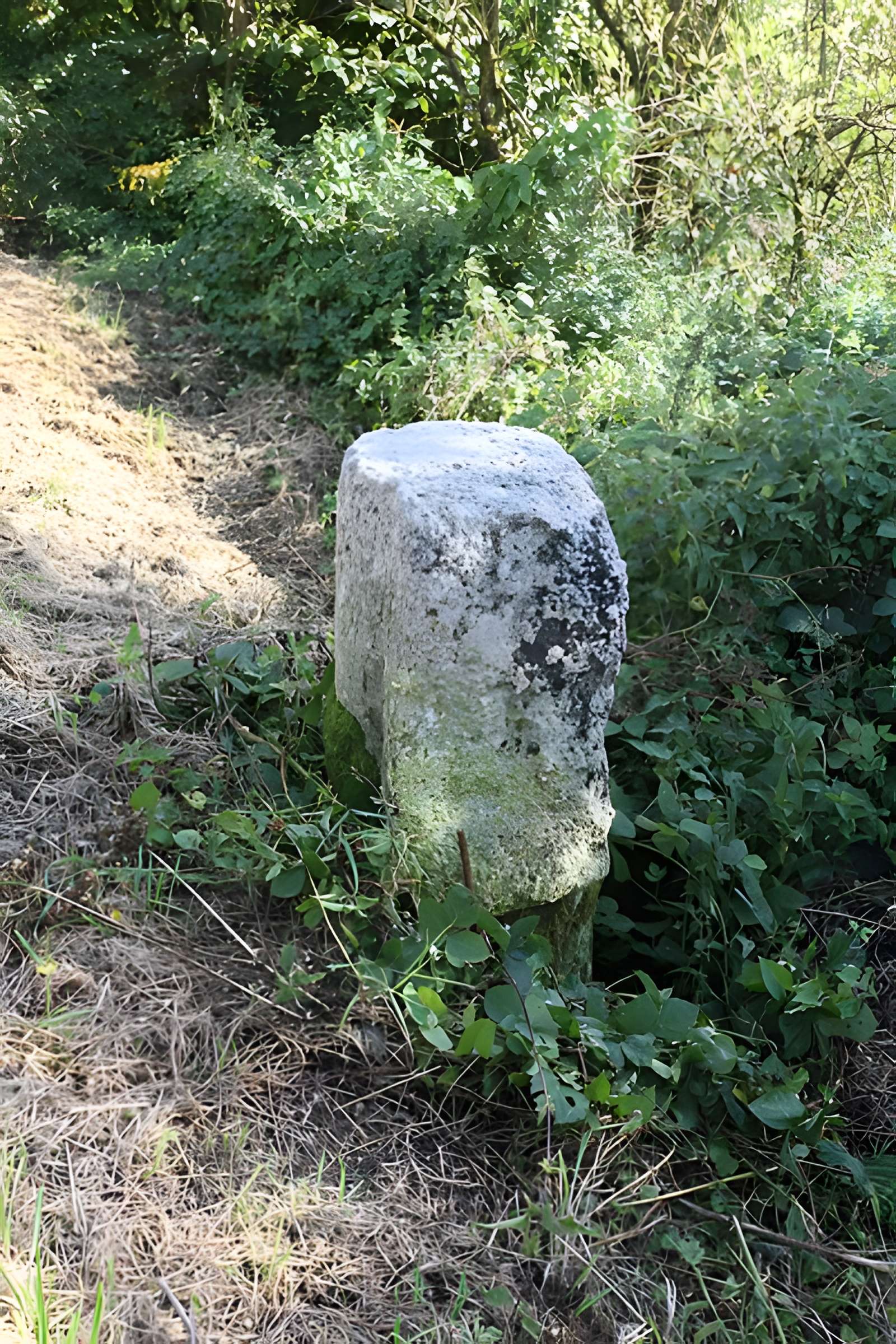 Bornes de Saint-Rémi (également sur commune de Chilly)