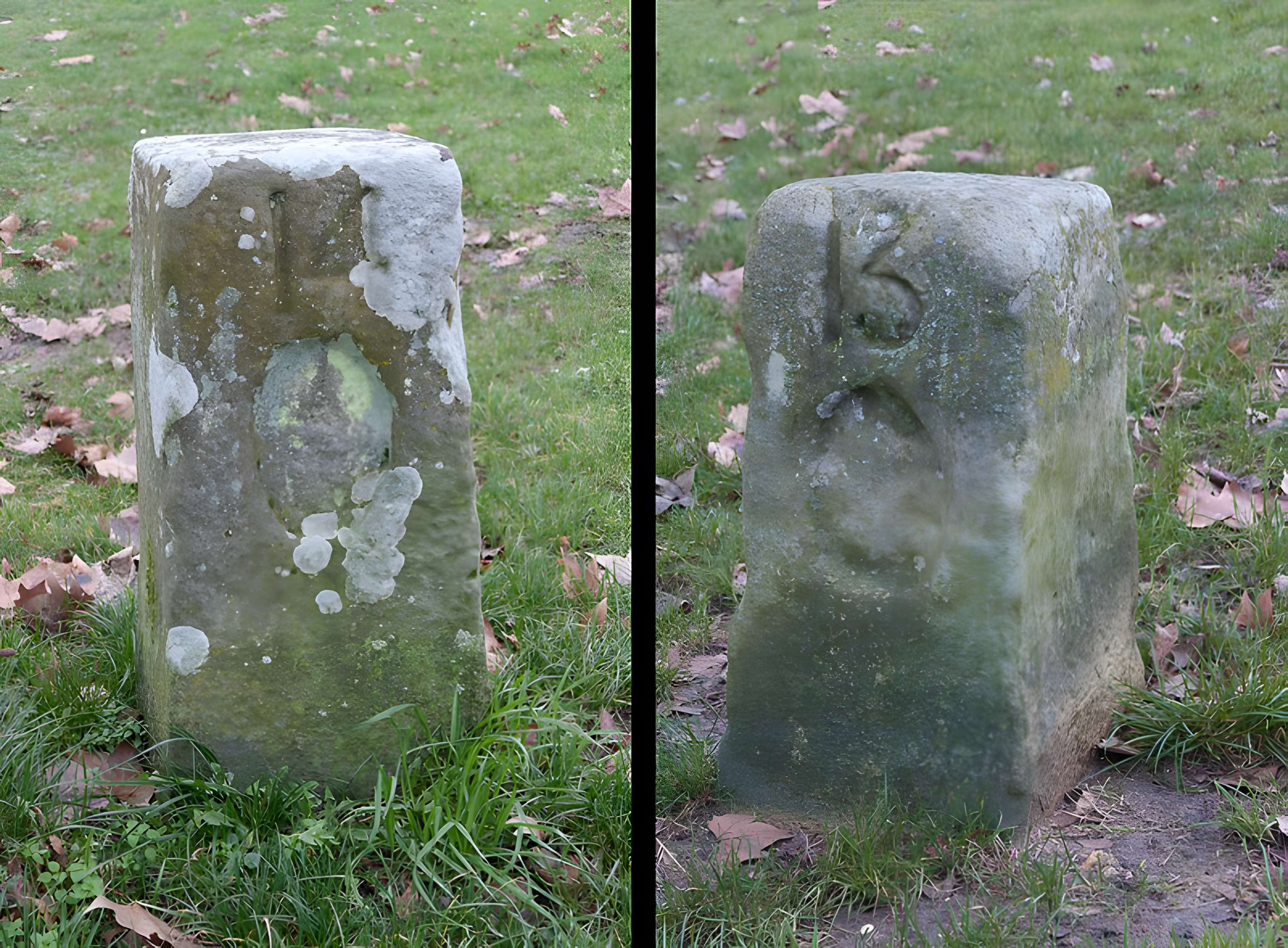 Bornes fleurdelysées de Montlhéry 