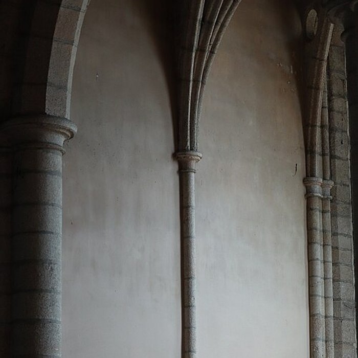 Photo de Abbatiale Saint-Sauveur de Redon