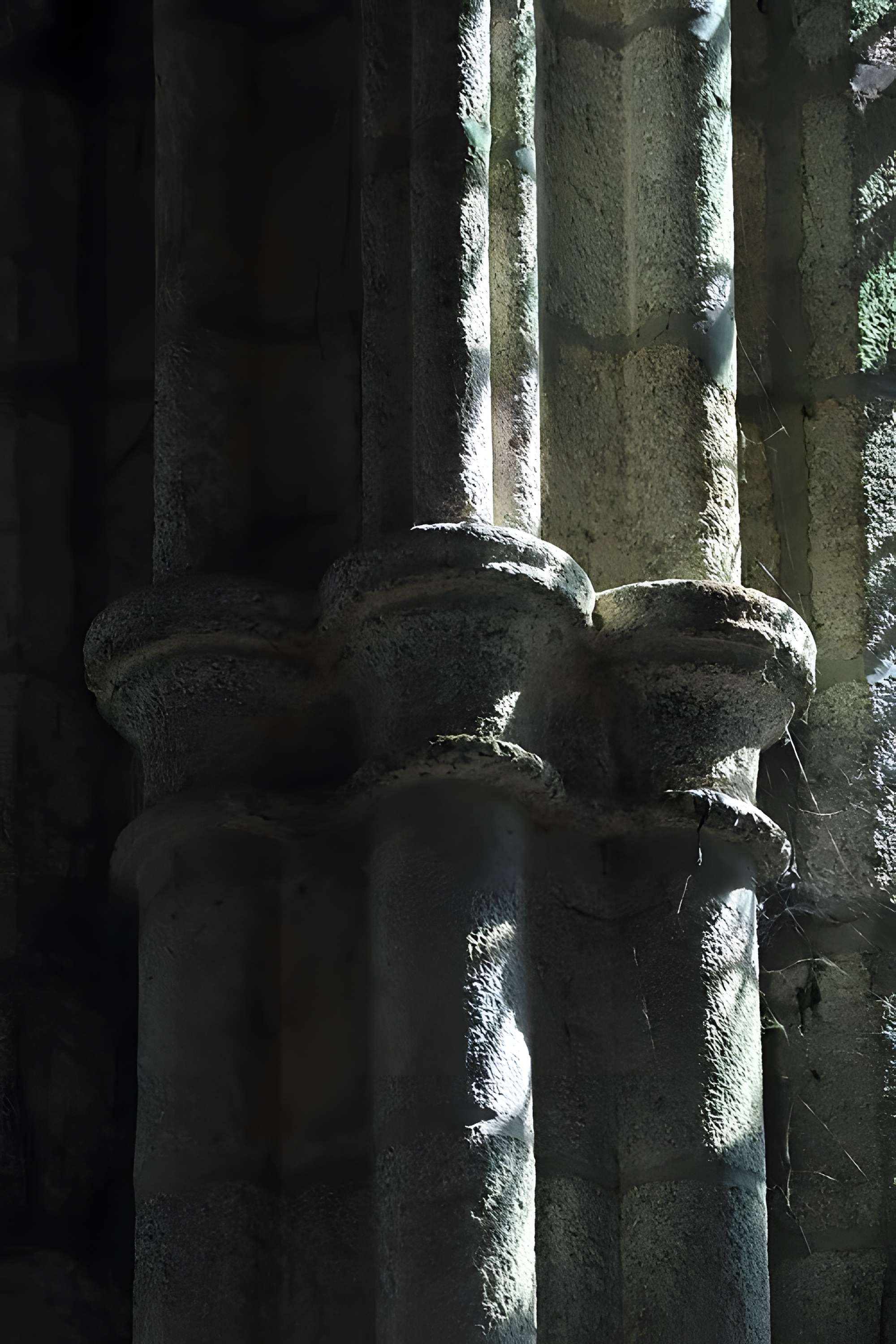 Abbatiale Saint-Sauveur de Redon