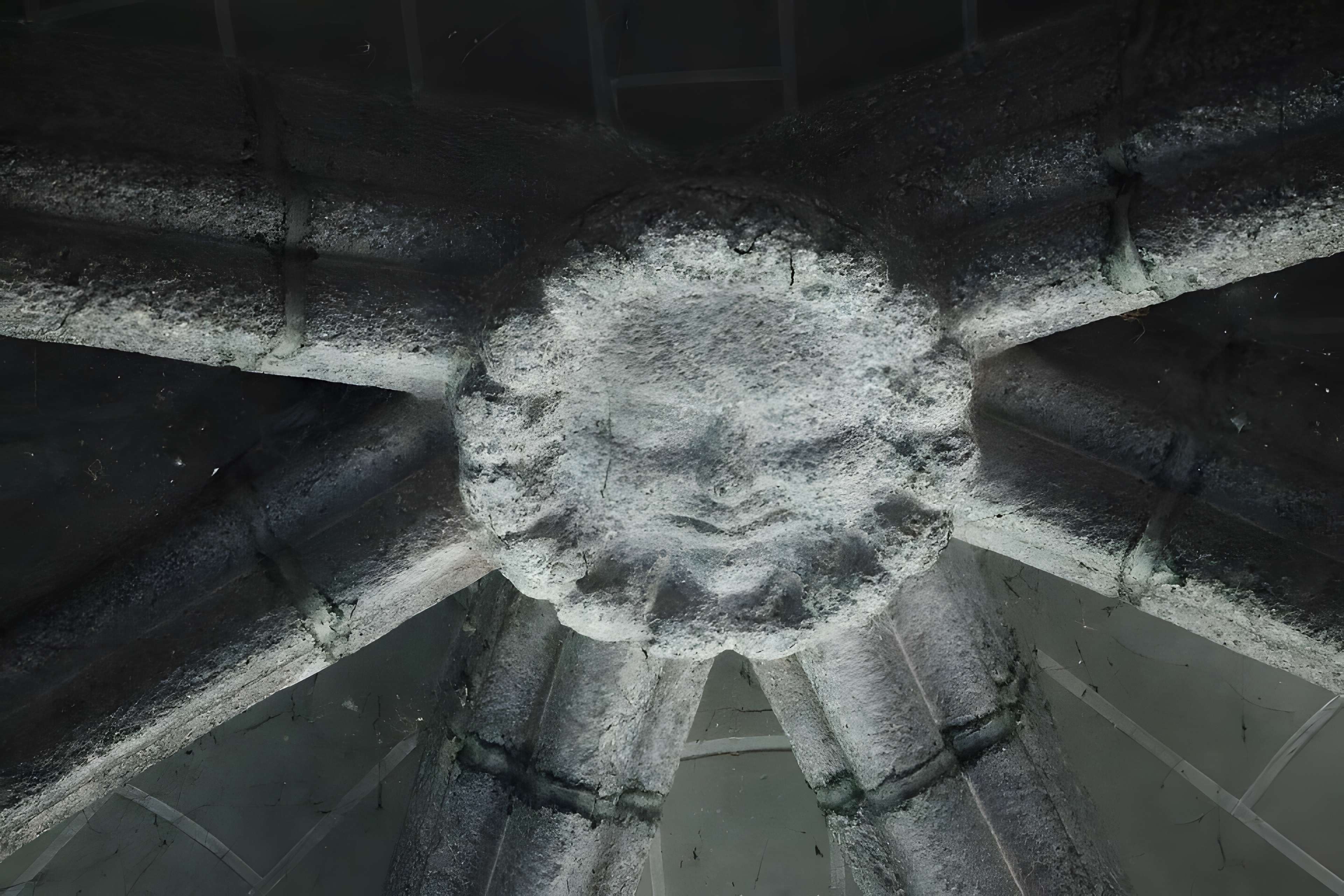 Abbatiale Saint-Sauveur de Redon