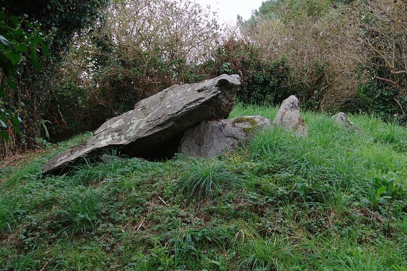 Photo de Cairn de Roscoualc'h à Trédrez-Locquémeau