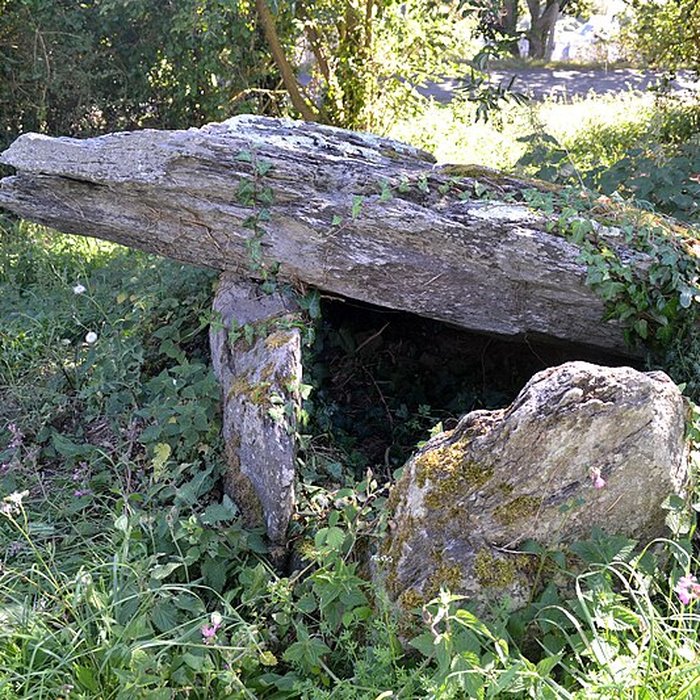 Photo de Cairn de Roscoualch à Trédrez-Locquémeau