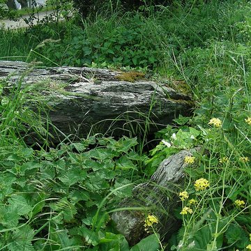 Cairn de Roscoualch à Trédrez-Locquémeau