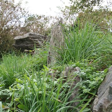 Cairn de Roscoualch à Trédrez-Locquémeau