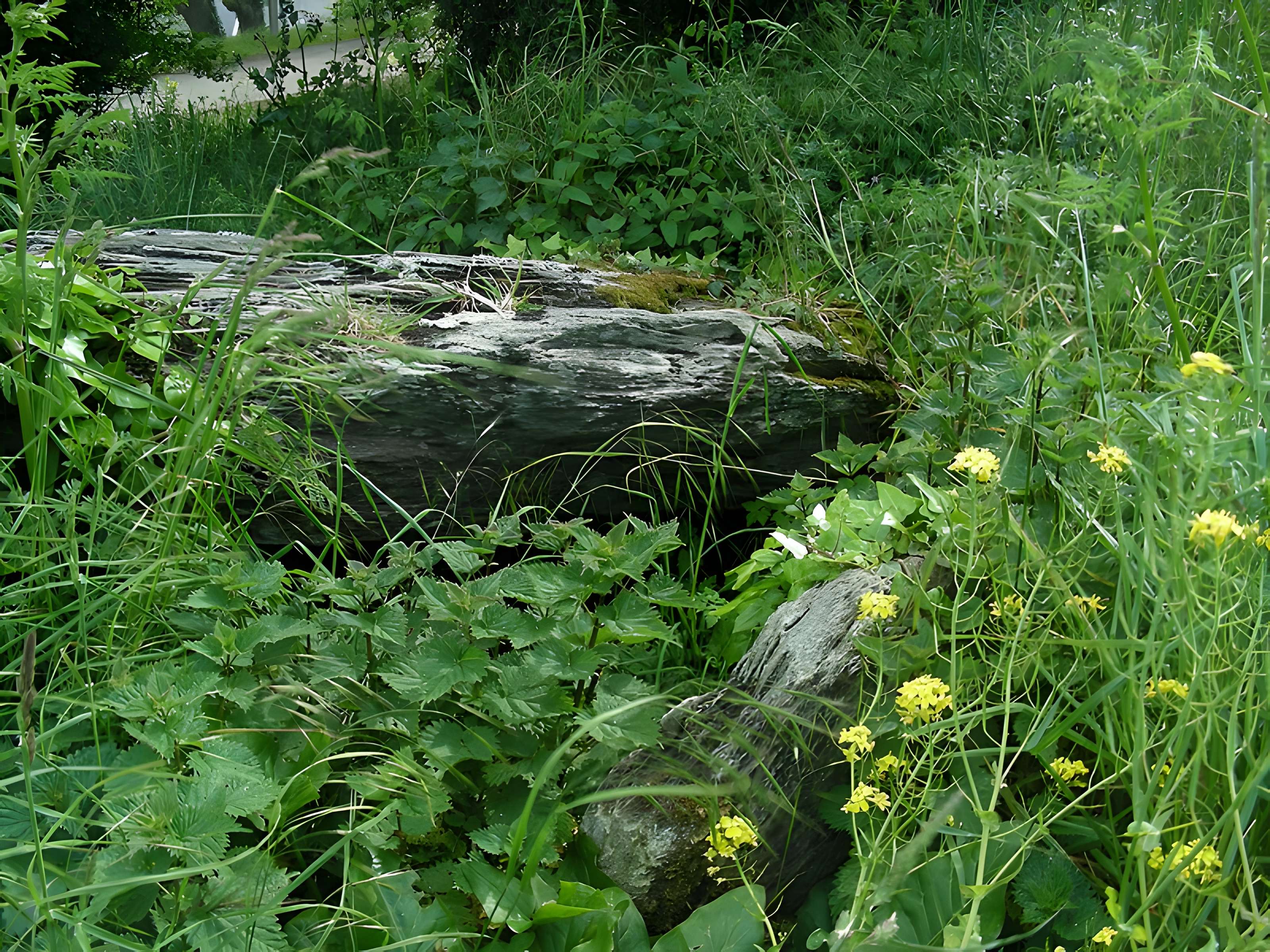 Cairn de Roscoualc'h à Trédrez-Locquémeau