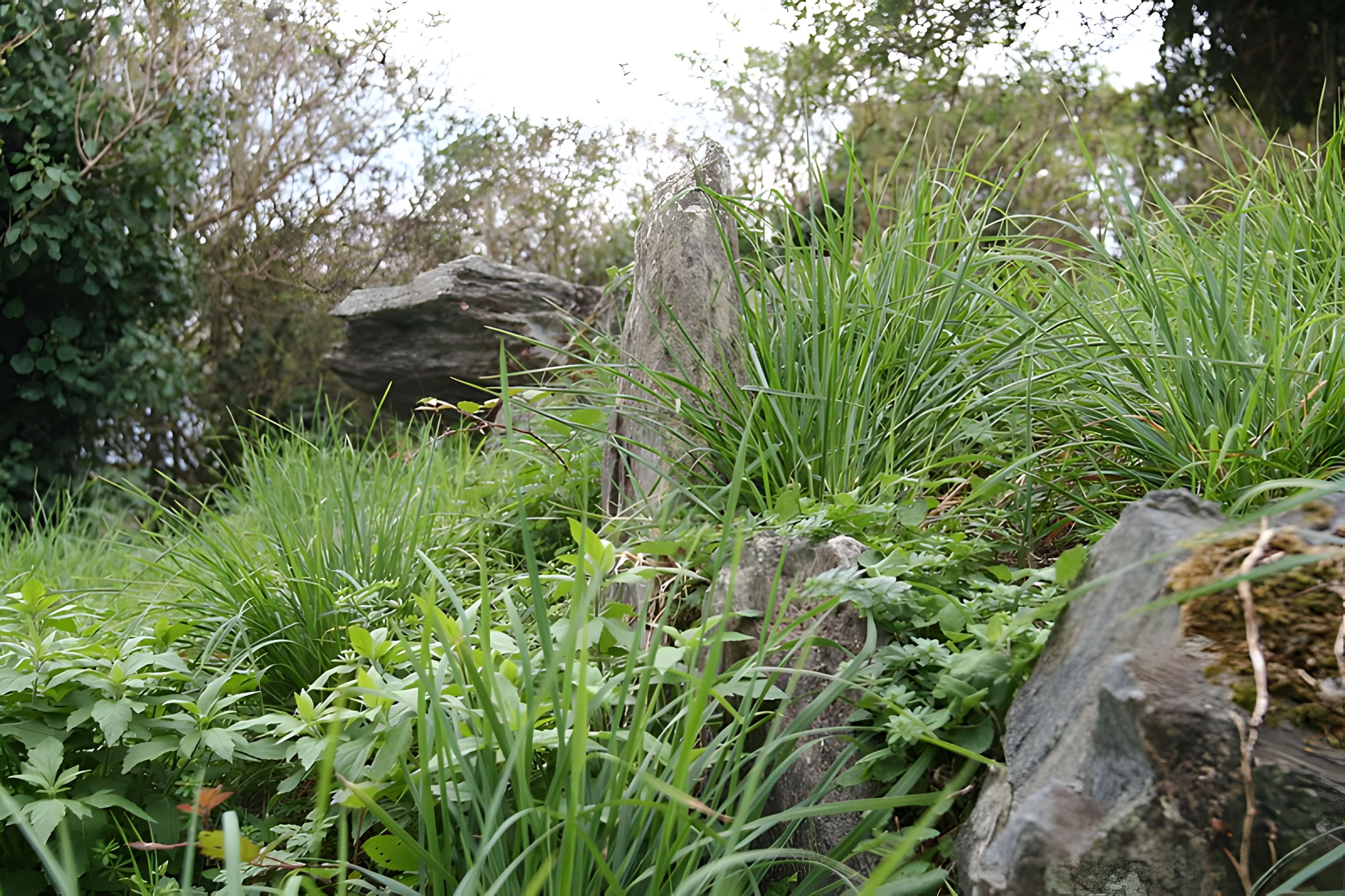 Cairn de Roscoualc'h à Trédrez-Locquémeau