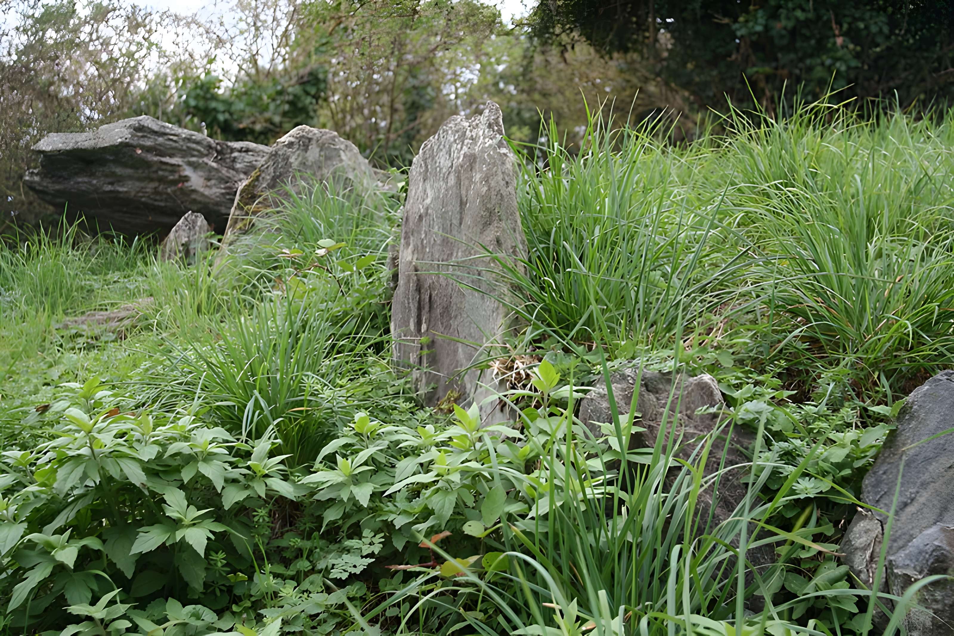 Cairn de Roscoualc'h à Trédrez-Locquémeau