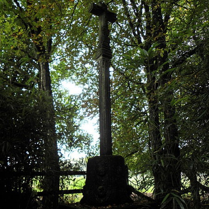Photo de Calvaire de la Ville Gontier