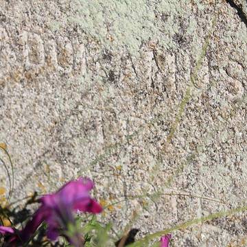 Calvaire de Montertelot