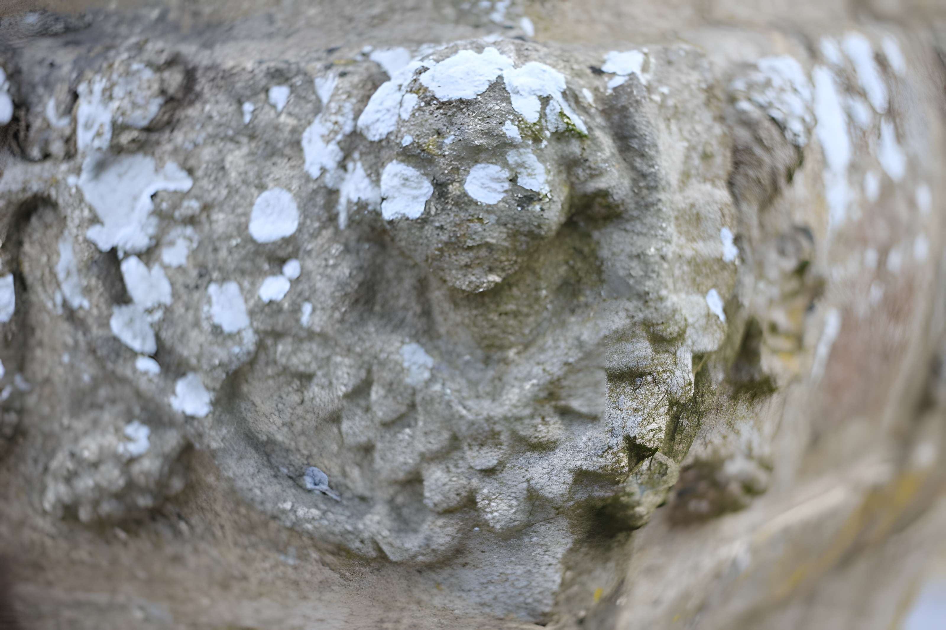 Calvaire de Port-Arthur