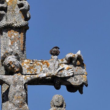 Calvaire du cimetière de Chaucenne