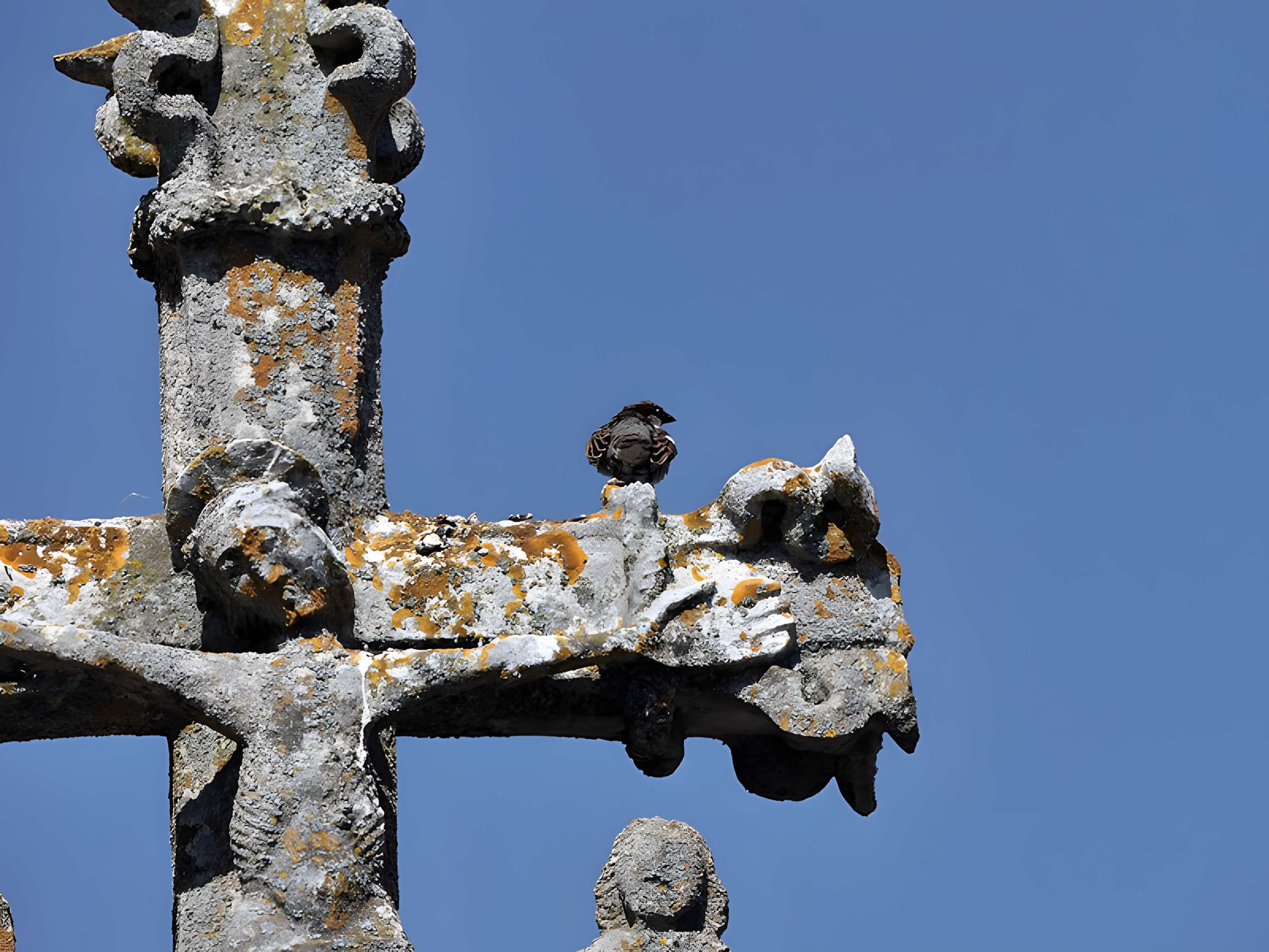 Calvaire du cimetière de Chaucenne