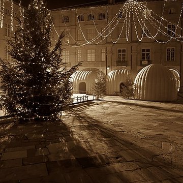 Maisons, Place Nationale de Montauban