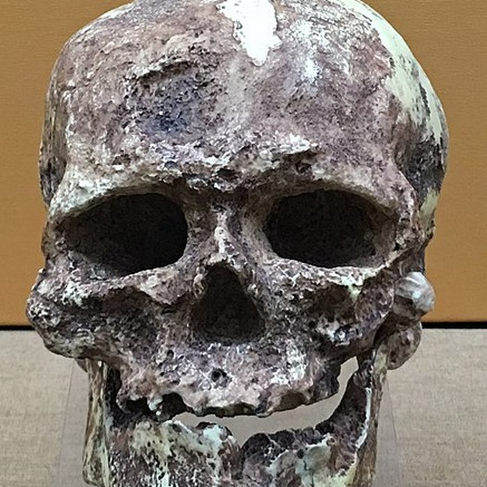 Photo de Abri de Cro-Magnon aux Eyzies-de-Tayac-Sireuil