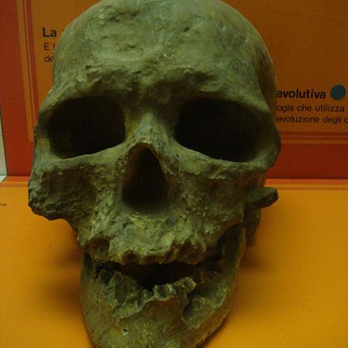 Photo de Abri de Cro-Magnon aux Eyzies-de-Tayac-Sireuil