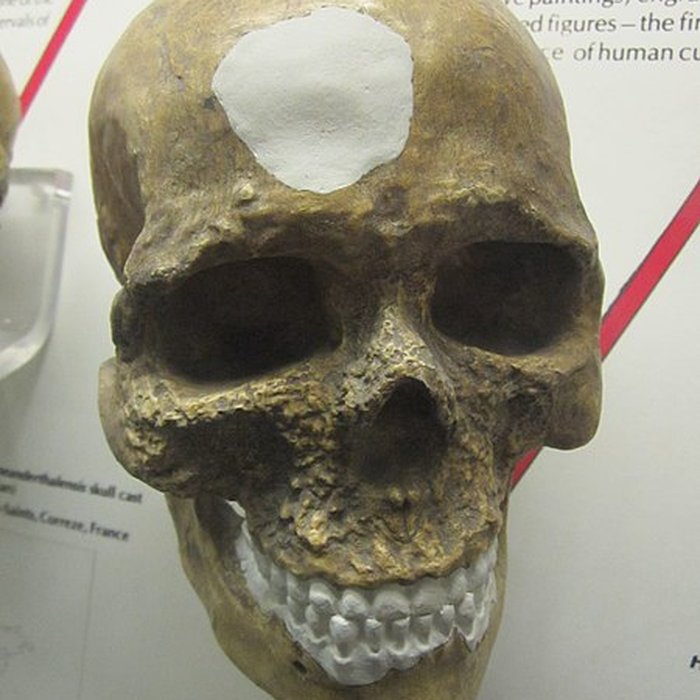 Photo de Abri de Cro-Magnon aux Eyzies-de-Tayac-Sireuil