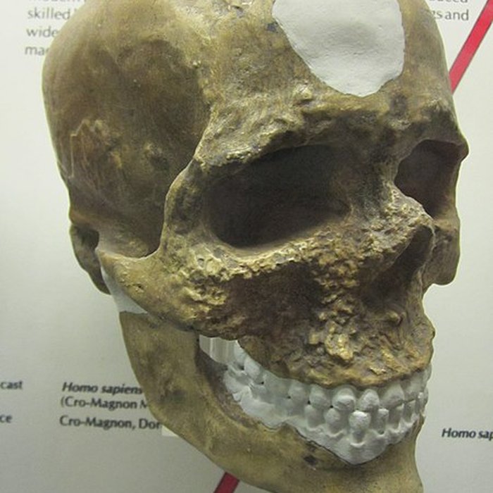 Photo de Abri de Cro-Magnon aux Eyzies-de-Tayac-Sireuil