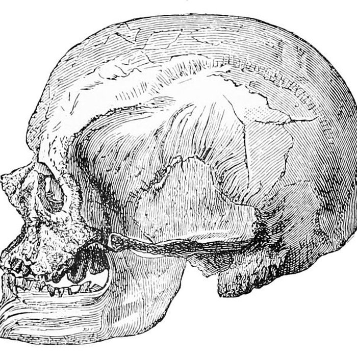 Photo de Abri de Cro-Magnon aux Eyzies-de-Tayac-Sireuil
