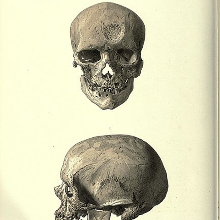 Photo de Abri de Cro-Magnon aux Eyzies-de-Tayac-Sireuil
