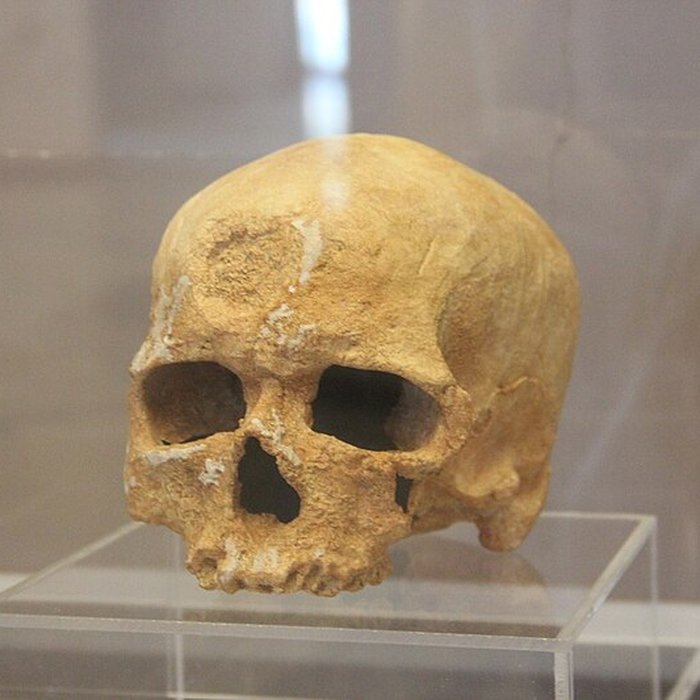 Photo de Abri de Cro-Magnon aux Eyzies-de-Tayac-Sireuil