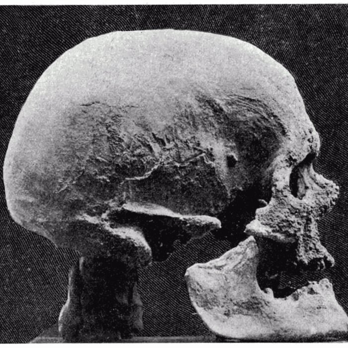 Photo de Abri de Cro-Magnon aux Eyzies-de-Tayac-Sireuil