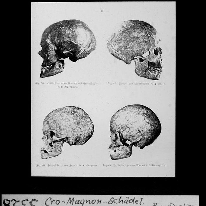 Photo de Abri de Cro-Magnon aux Eyzies-de-Tayac-Sireuil