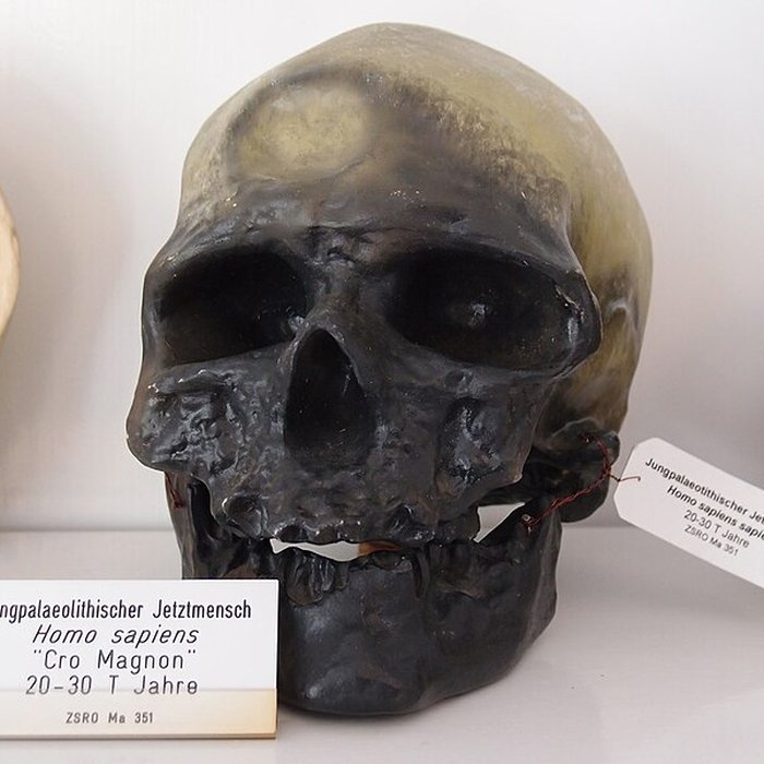 Photo de Abri de Cro-Magnon aux Eyzies-de-Tayac-Sireuil