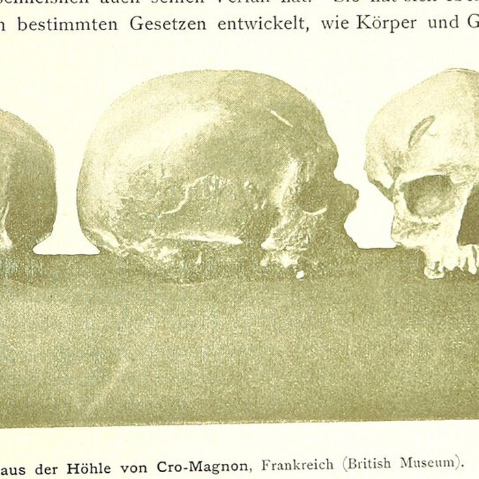 Photo de Abri de Cro-Magnon aux Eyzies-de-Tayac-Sireuil