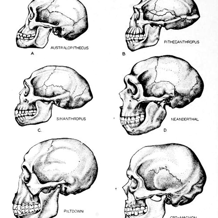Photo de Abri de Cro-Magnon aux Eyzies-de-Tayac-Sireuil