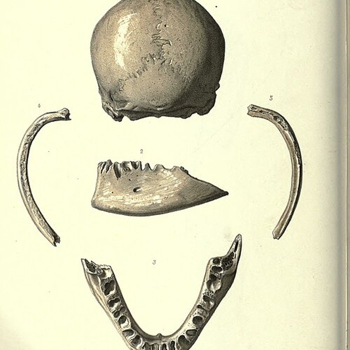 Photo de Abri de Cro-Magnon aux Eyzies-de-Tayac-Sireuil