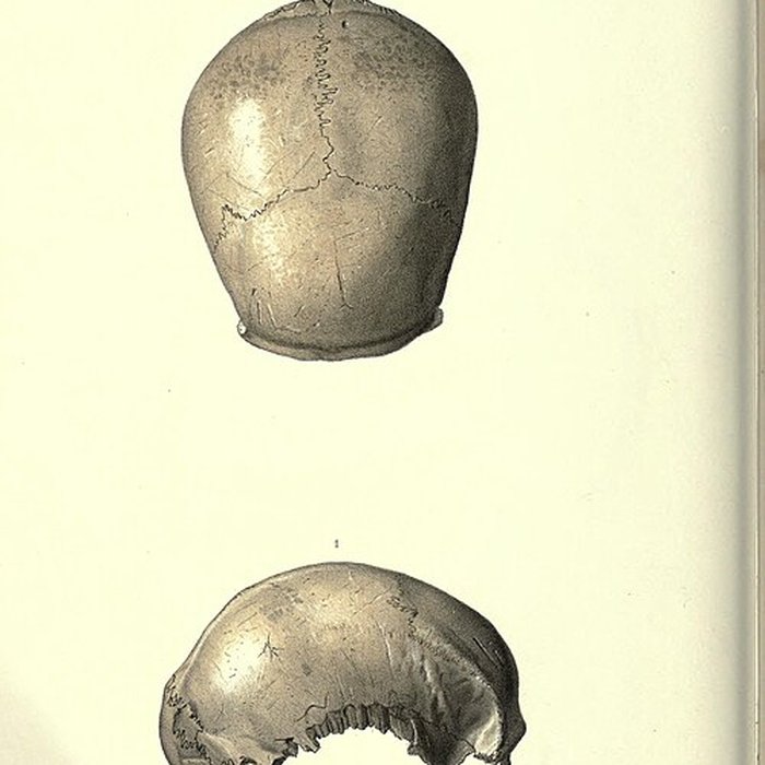 Photo de Abri de Cro-Magnon aux Eyzies-de-Tayac-Sireuil