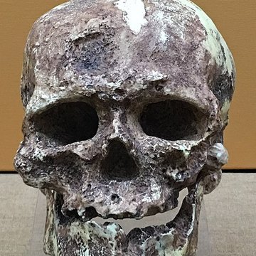 Abri de Cro-Magnon aux Eyzies-de-Tayac-Sireuil