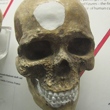 Abri de Cro-Magnon aux Eyzies-de-Tayac-Sireuil