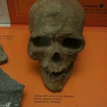 Abri de Cro-Magnon aux Eyzies-de-Tayac-Sireuil