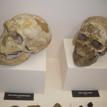 Abri de Cro-Magnon aux Eyzies-de-Tayac-Sireuil