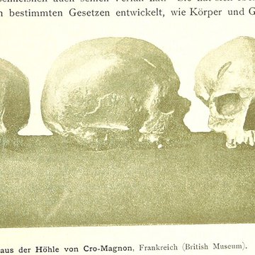 Abri de Cro-Magnon aux Eyzies-de-Tayac-Sireuil