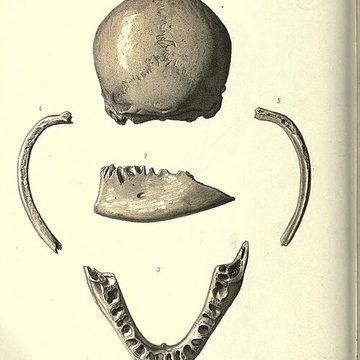 Abri de Cro-Magnon aux Eyzies-de-Tayac-Sireuil