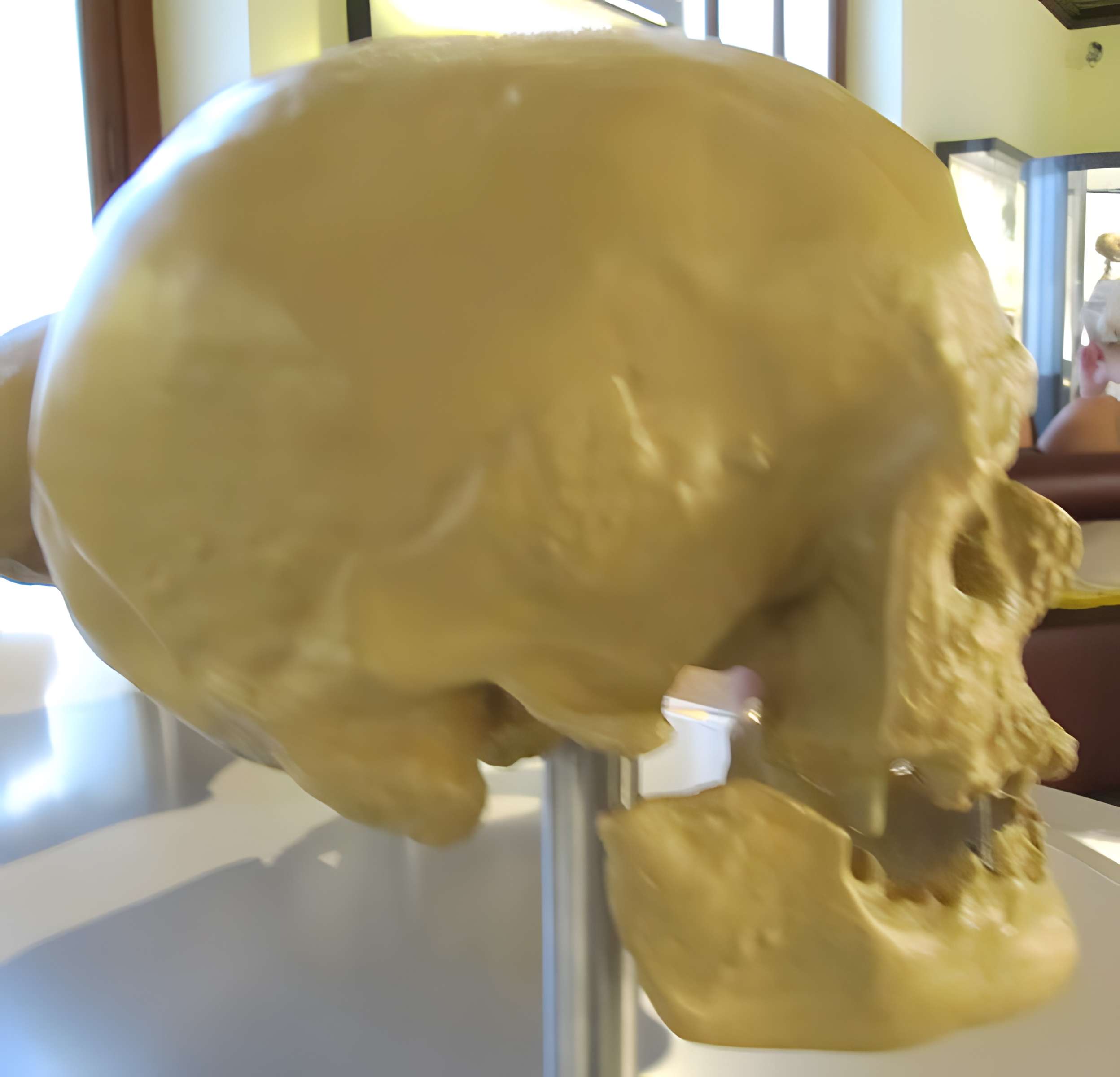 Abri de Cro-Magnon aux Eyzies-de-Tayac-Sireuil